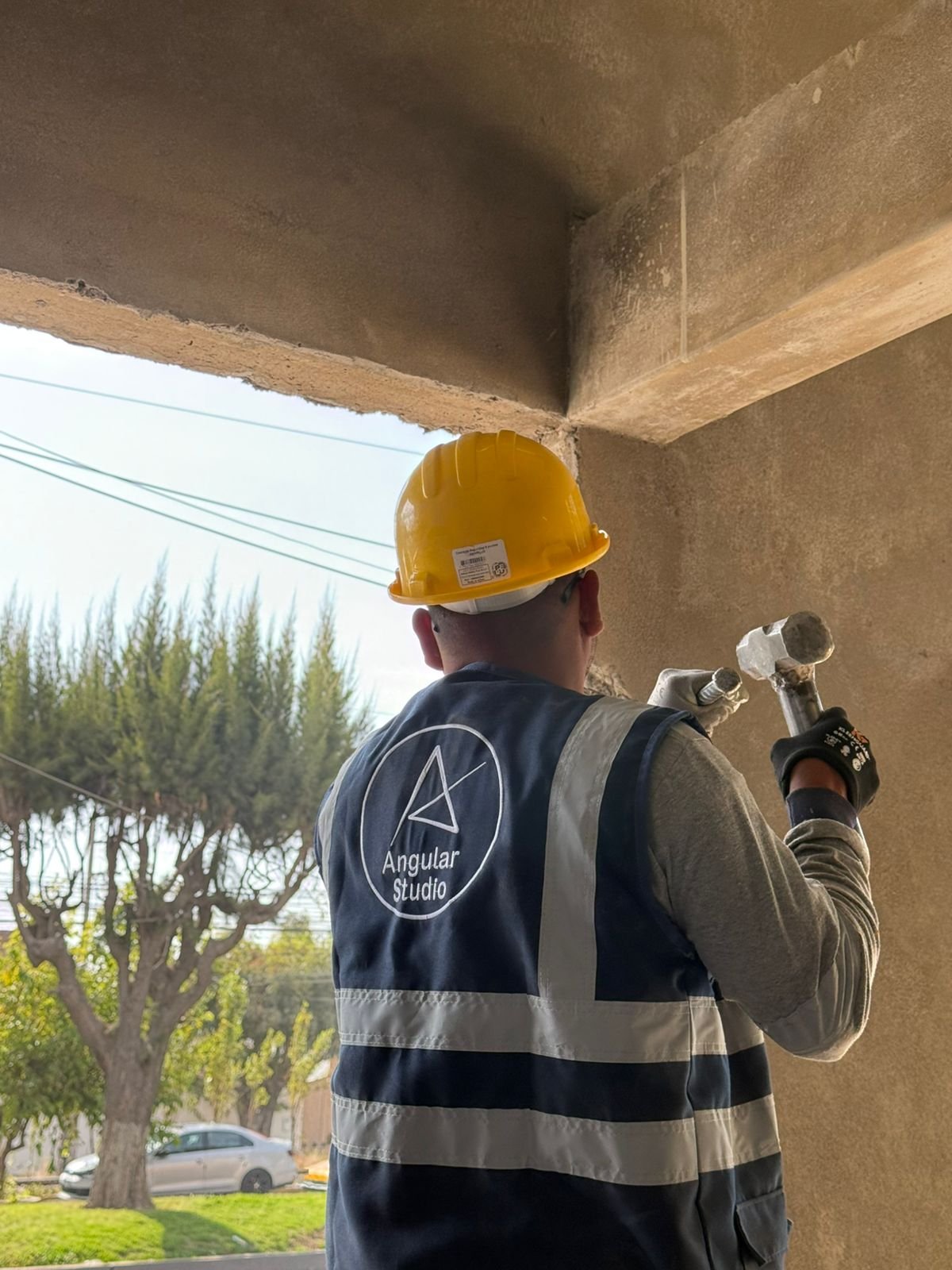 Locales Comerciales @angularstudio